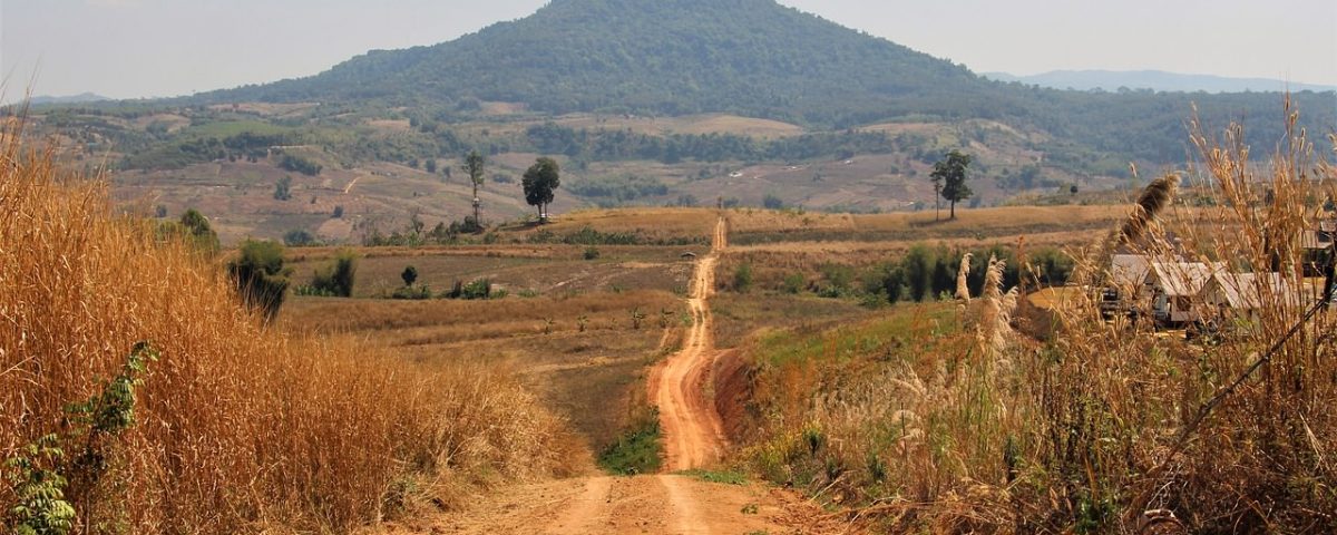 Dirt path in South Africa